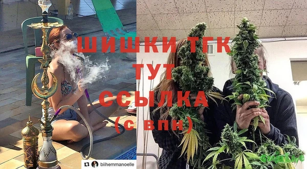 mdpv Корсаков