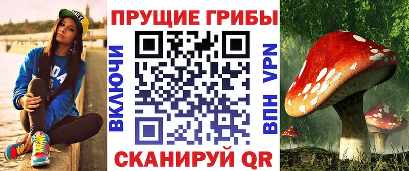 Галлюциногенные грибы Magic Shrooms  цены   Ленинск-Кузнецкий 